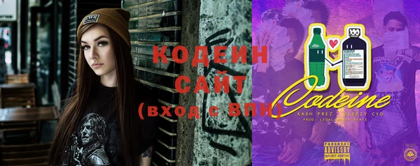 ГАЛЛЮЦИНОГЕННЫЕ ГРИБЫ Арсеньев