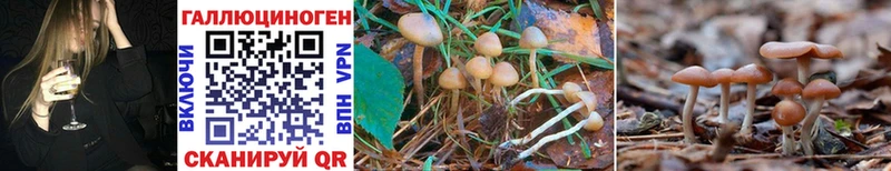 Галлюциногенные грибы GOLDEN TEACHER  blacksprut ссылка  Ельня 