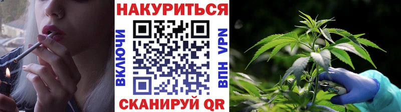где можно купить наркотик  Ельня  блэк спрут онион  Канабис OG Kush 